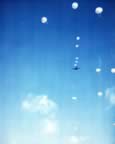 PICT1307.jpg (31kb)