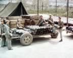 PICT1593.jpg (94kb)