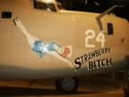 b-24-liberator-nose-art.jpg (36kb)