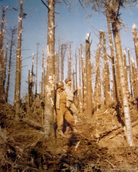 Royalty Free Pictures of World War II 