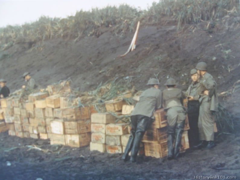 Royalty Free Pictures of World War II 