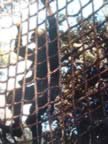 IMG_1802.jpg (101kb)