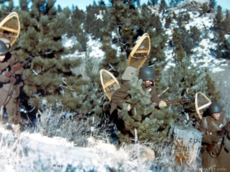 Royalty Free Pictures of World War II 