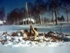 IMG_2216.jpg (81kb)