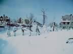 PICT0009.jpg (71kb)