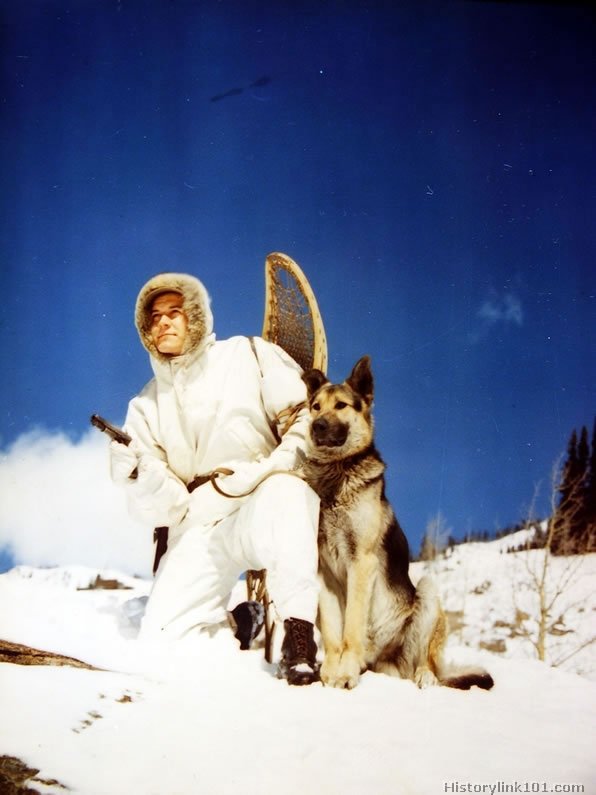 Royalty Free Pictures of World War II 