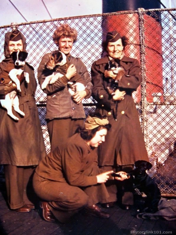 Royalty Free Pictures of World War II 