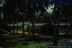 1221.jpg (64kb)
