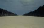 1231.jpg (24kb)