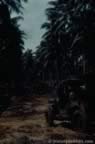 1232.jpg (55kb)