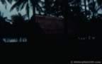 1237.jpg (42kb)