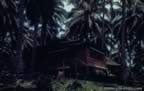 1238.jpg (74kb)