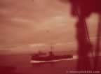3151.jpg (23kb)