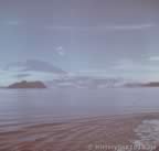 3335.jpg (23kb)