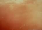 3644.jpg (16kb)
