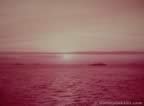 3803.jpg (38kb)