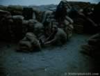 13351.jpg (48kb)