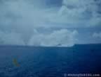 13357.jpg (31kb)