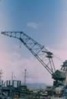 14415.jpg (48kb)