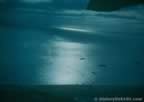 14421.jpg (31kb)