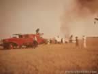 14941.jpg (31kb)