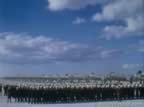 15051.jpg (38kb)