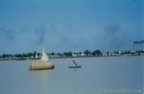 15451.jpg (30kb)