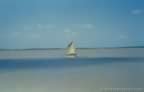 15475.jpg (27kb)