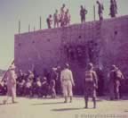 15657.jpg (54kb)