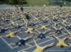 15801.jpg (101kb)