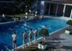 15809.jpg (82kb)