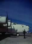 15820.jpg (37kb)