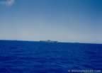 15841.jpg (33kb)