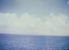 16452.jpg (32kb)