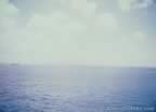 16453.jpg (31kb)