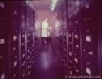 16694.jpg (51kb)