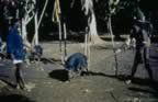 4019.jpg (87kb)