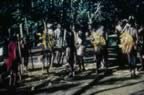 4020.jpg (104kb)