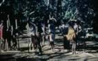 4033.jpg (108kb)