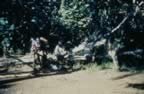 4035.jpg (104kb)