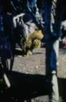 4040.jpg (81kb)