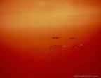 4059.jpg (20kb)