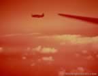 4319.jpg (24kb)