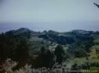 6369.jpg (51kb)