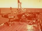 7307.jpg (67kb)