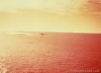 7308.jpg (47kb)