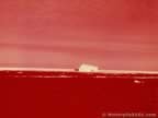 7312.jpg (25kb)