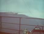 7357.jpg (36kb)
