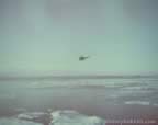 7360.jpg (22kb)