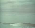 7370.jpg (23kb)